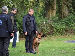 Concours d'Obéissance 2017