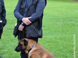 Concours d'Obéissance 2017